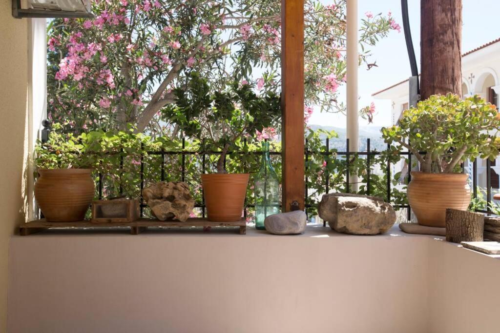 Kostas' House Argostoli Βίλα Εξωτερικό φωτογραφία